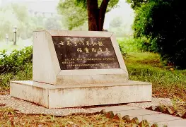 爱游戏体育-勒沃库森不败纪录刷新